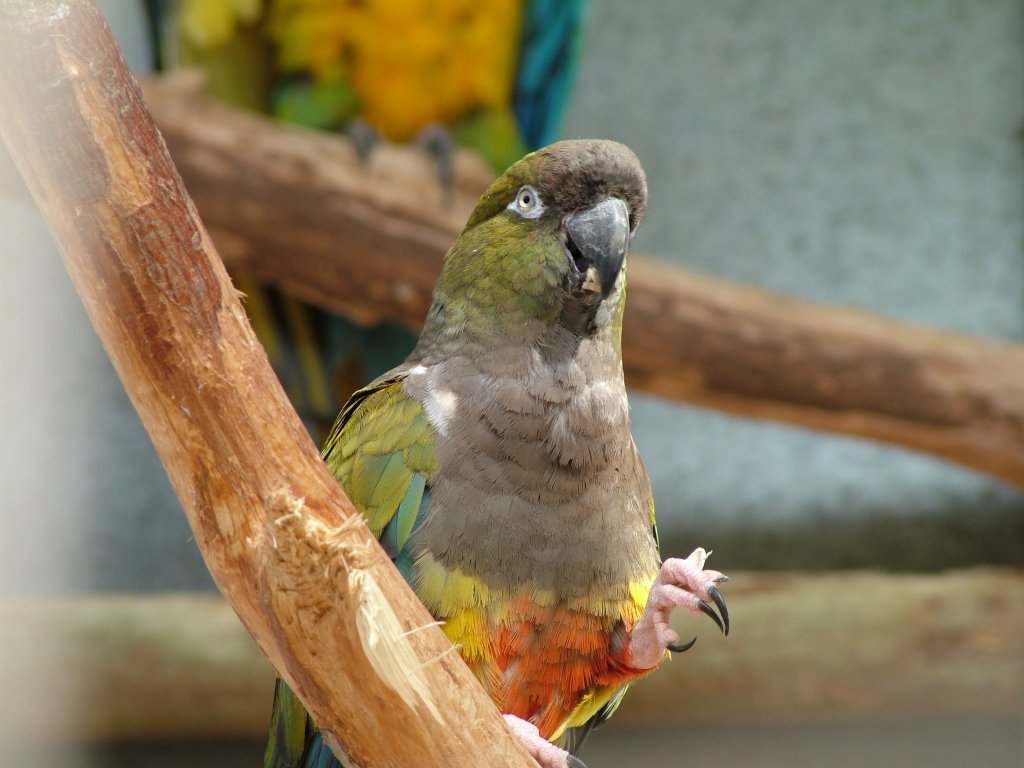 Click now to see this image full size.