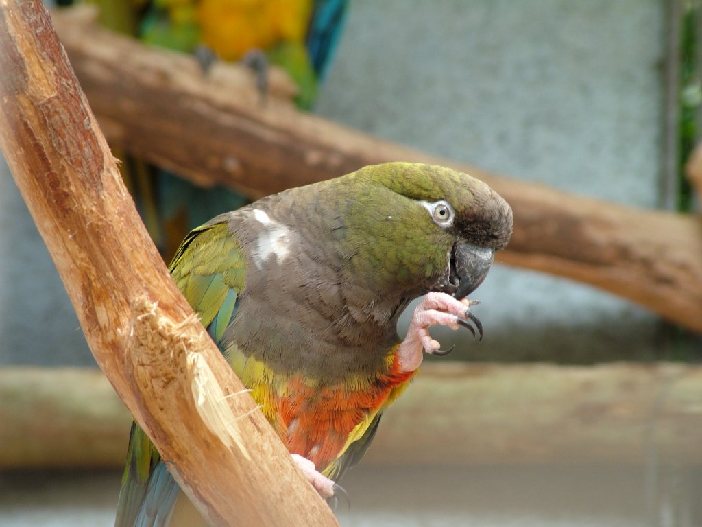 Click now to see this image full size.