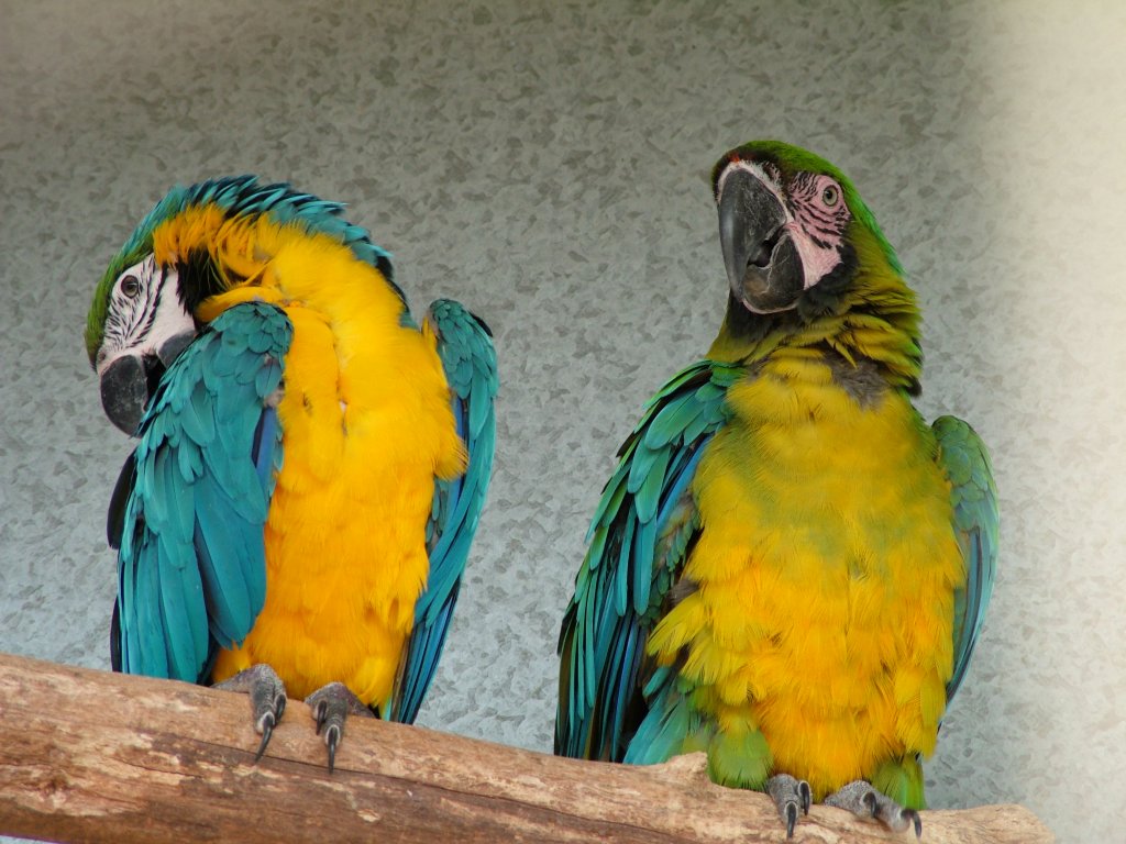 Click now to see this image full size.