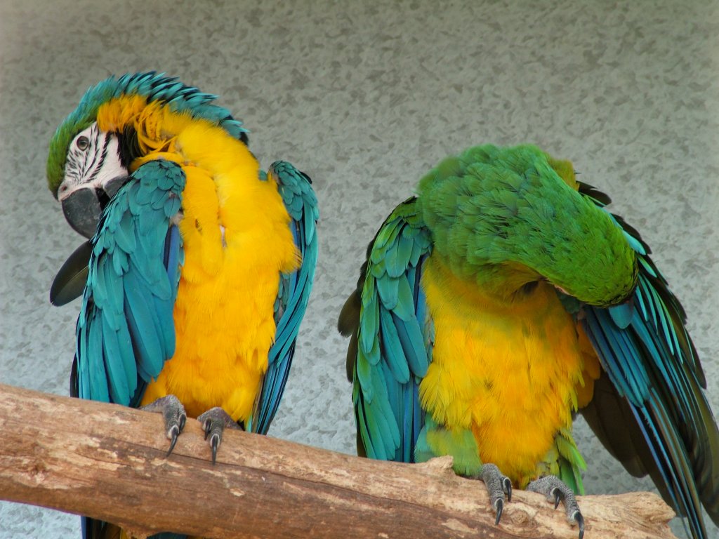 Click now to see this image full size.