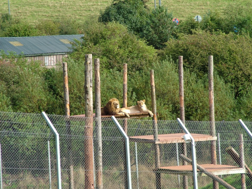 Click now to see this image full size.