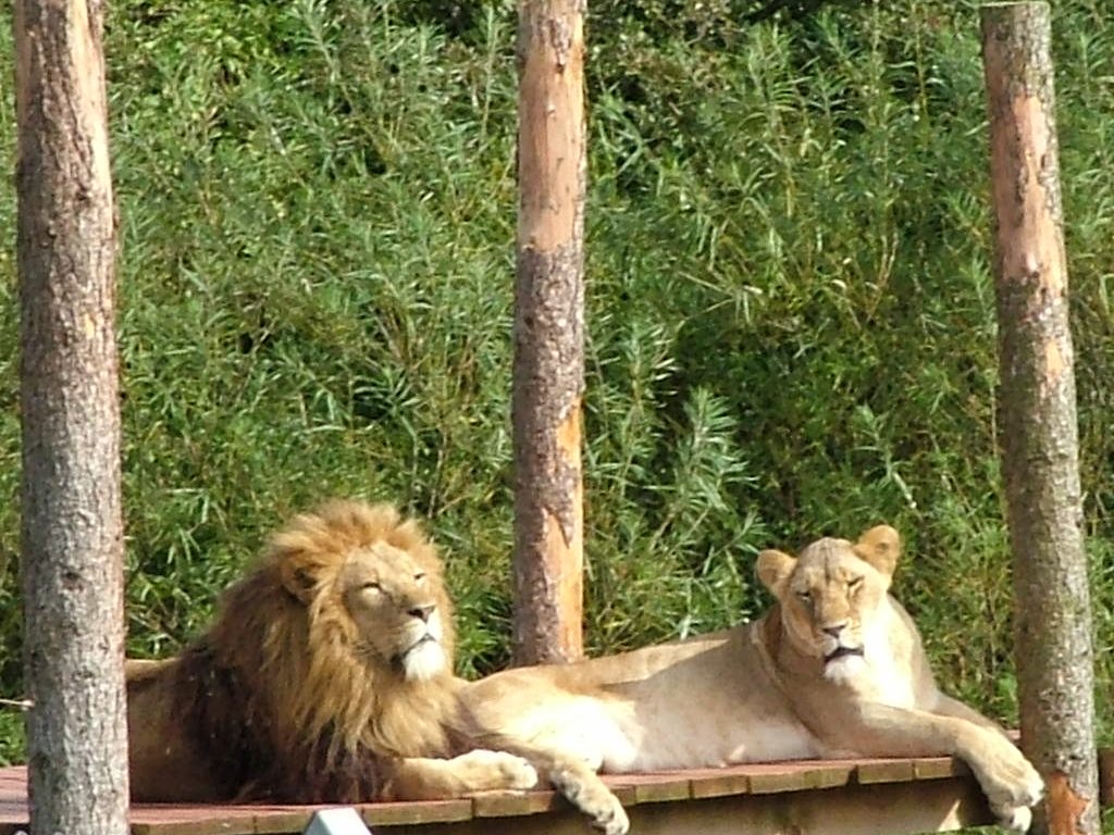 Click now to see this image full size.