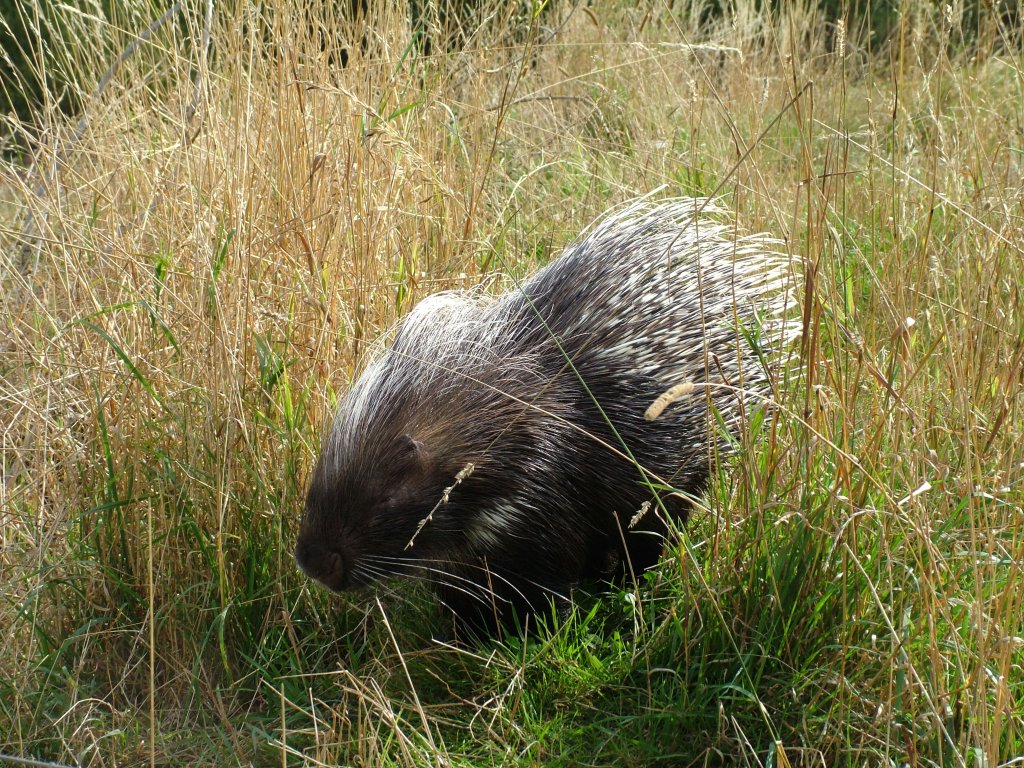 Click now to see this image full size.