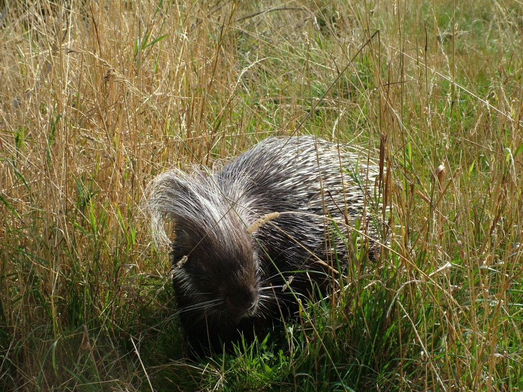 Click now to see this image full size.