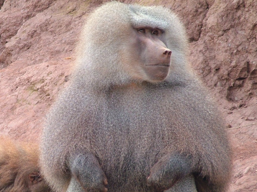 Click now to see this image full size.