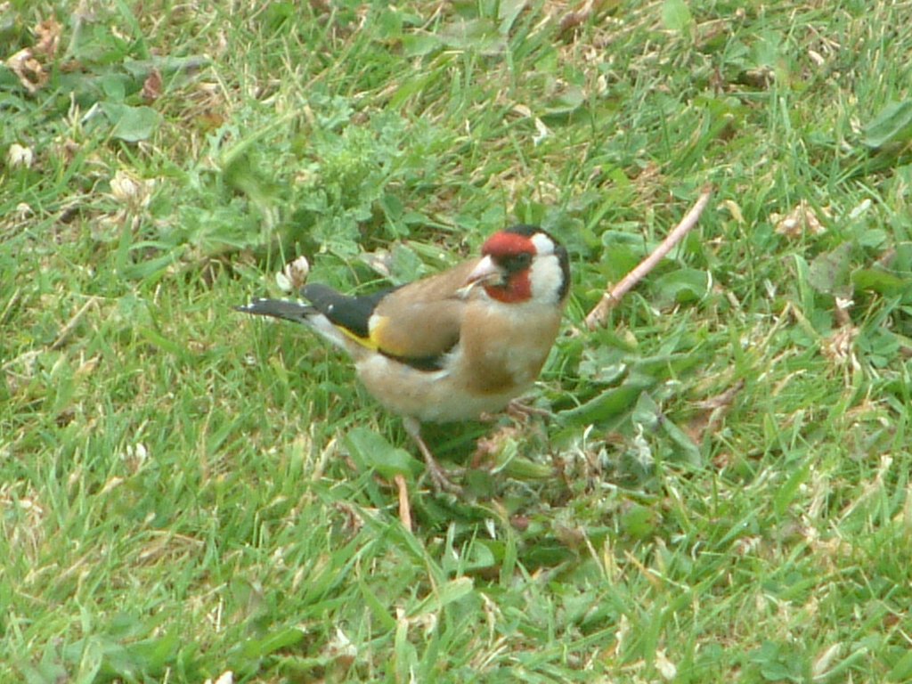 Click now to see this image full size.