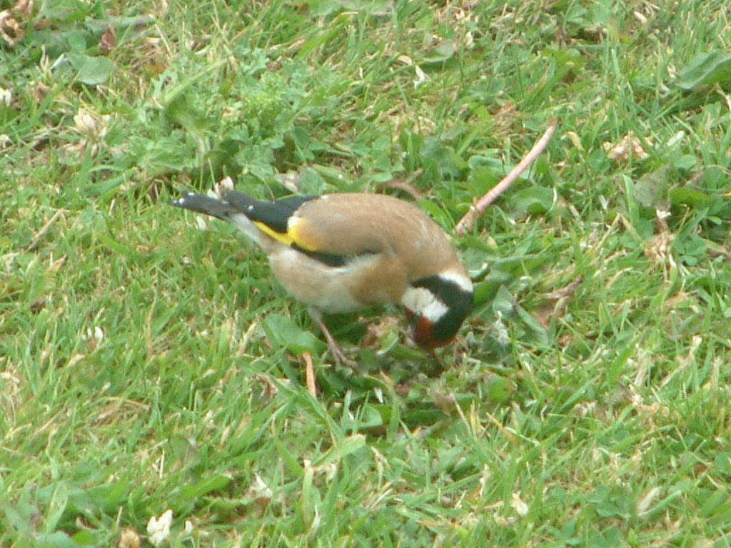 Click now to see this image full size.