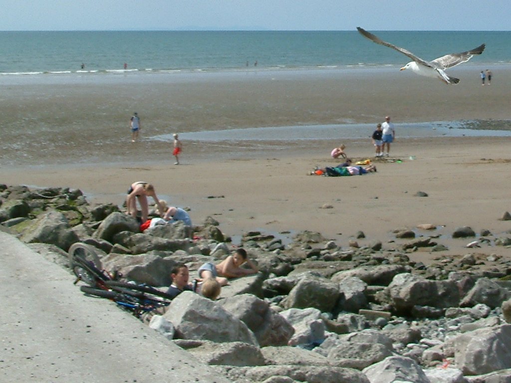 Click now to see this image full size.