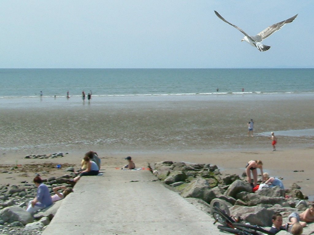 Click now to see this image full size.