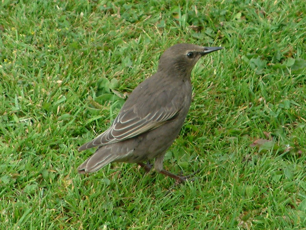 Click now to see this image full size.