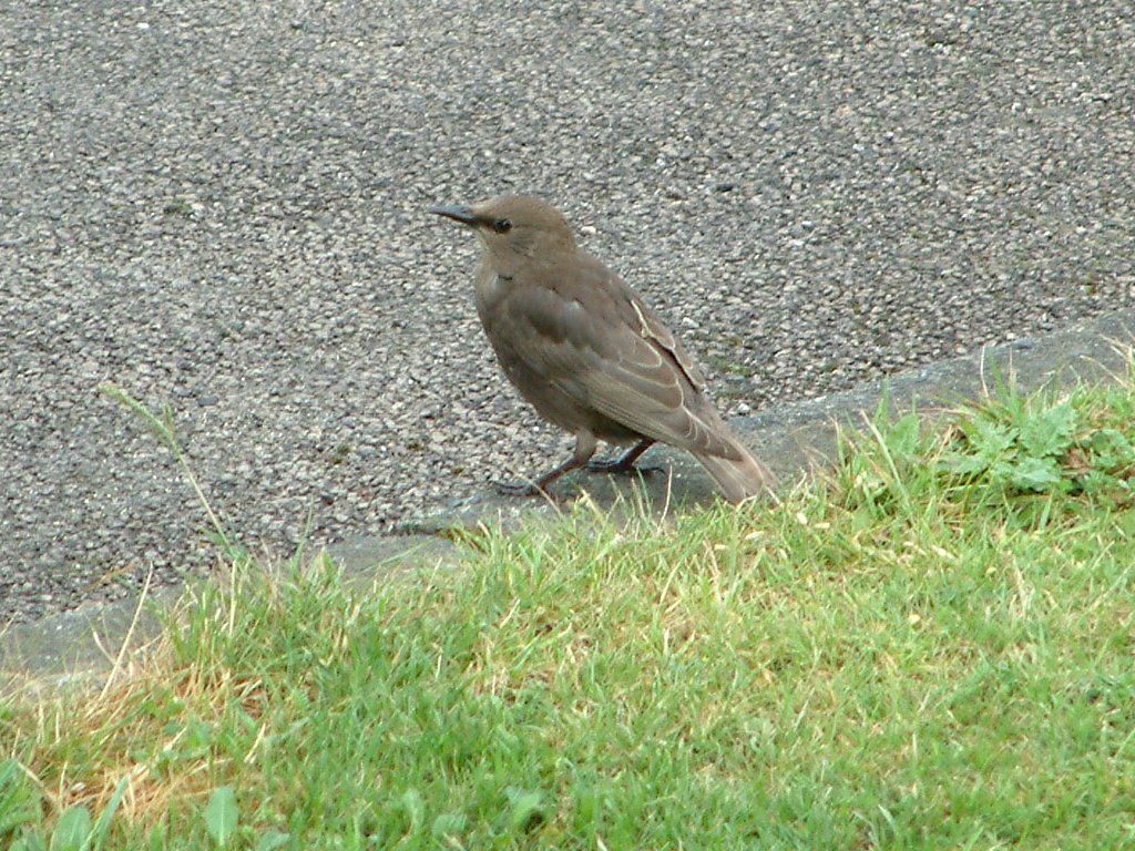 Click now to see this image full size.