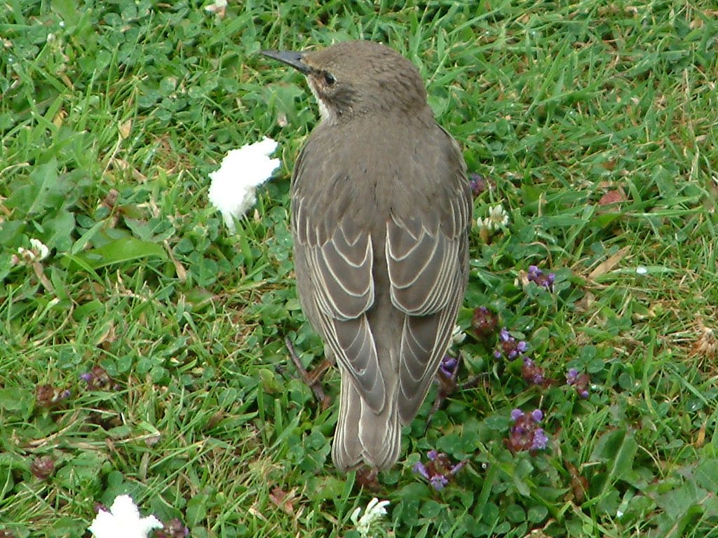 Click now to see this image full size.