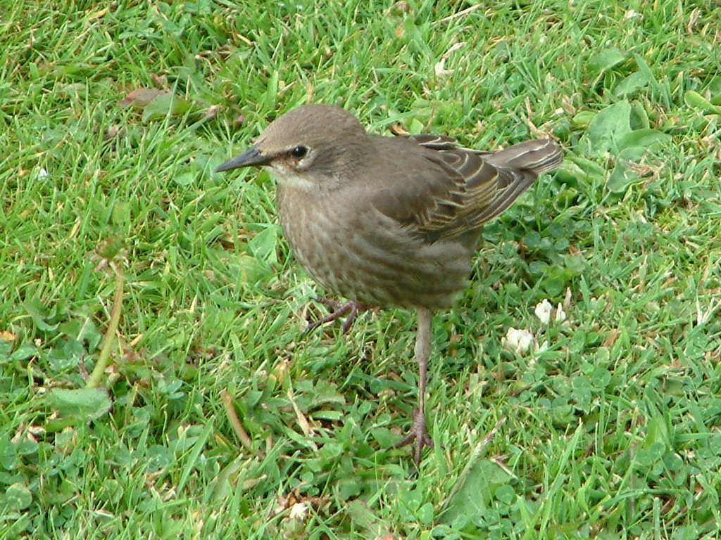 Click now to see this image full size.