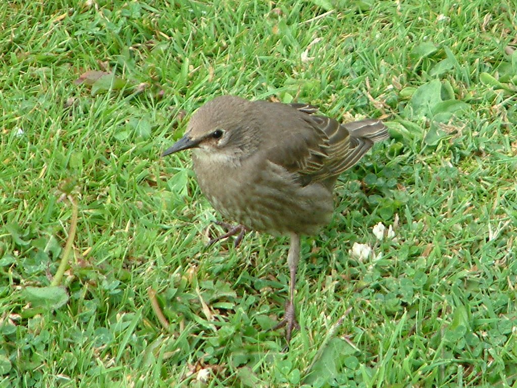 Click now to see this image full size.