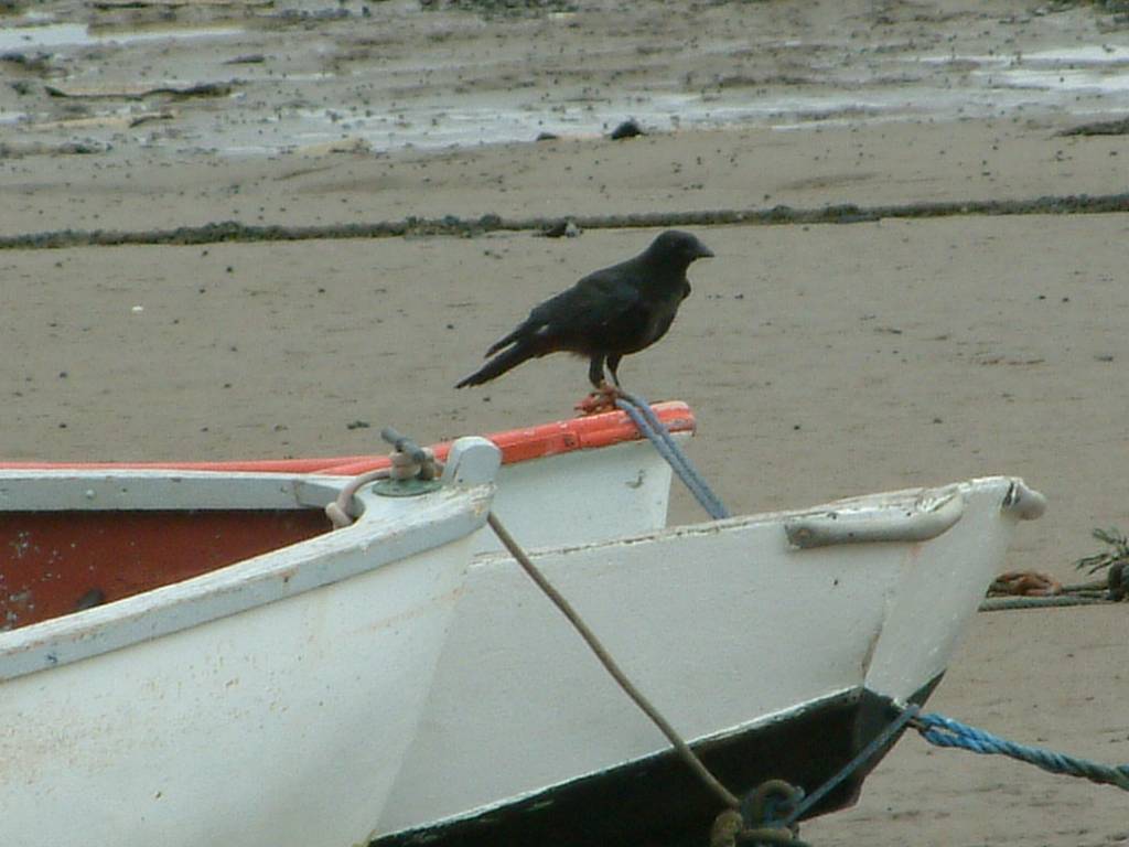 Click now to see this image full size.