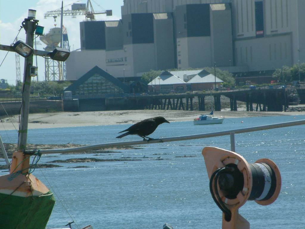 Click now to see this image full size.