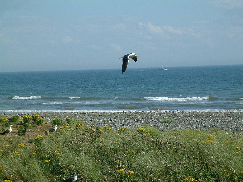 Click now to see this image full size.