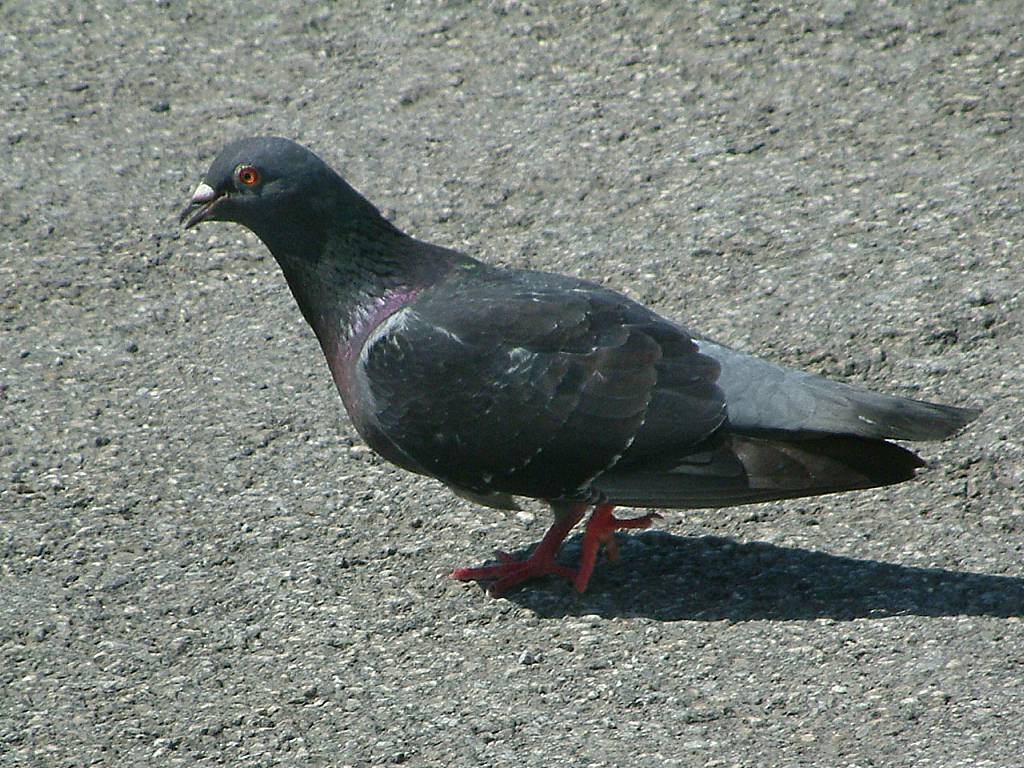 Click now to see this image full size.