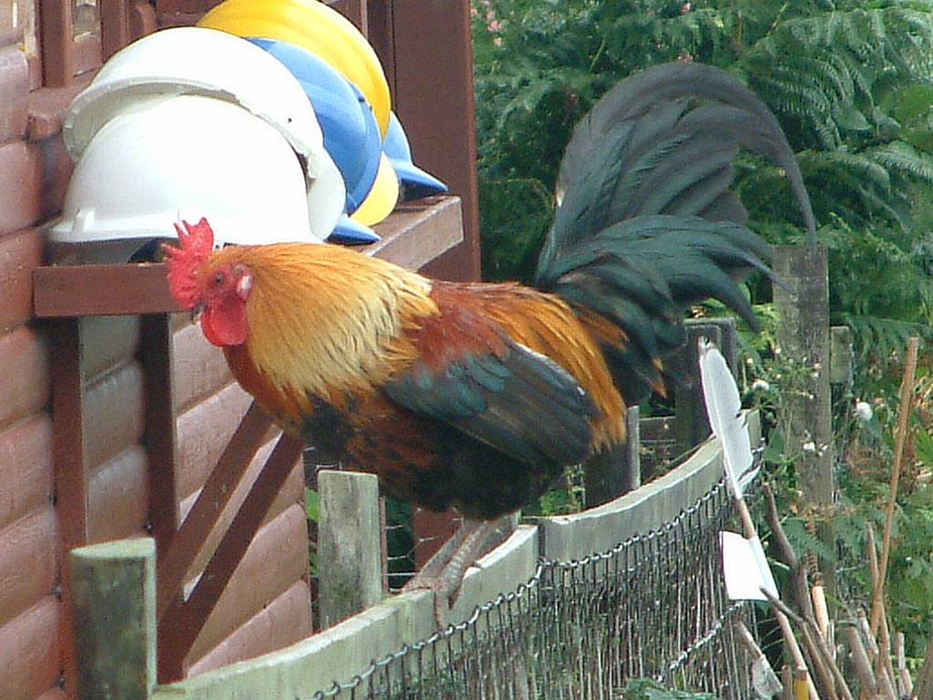 Click now to see this image full size.