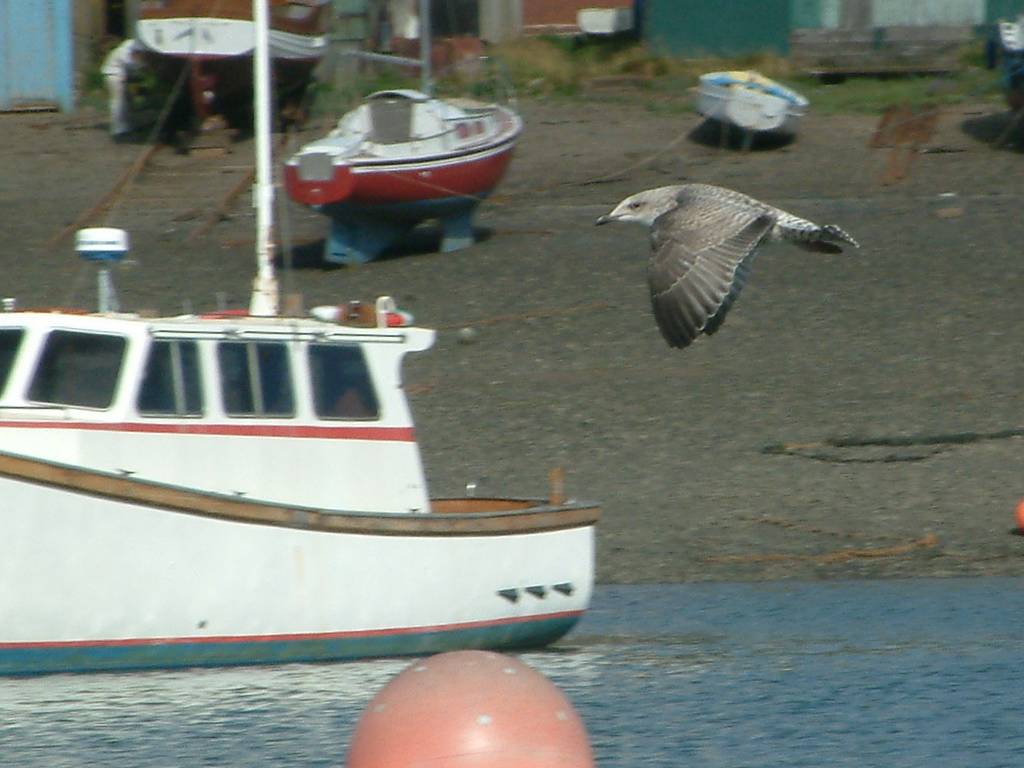 Click now to see this image full size.