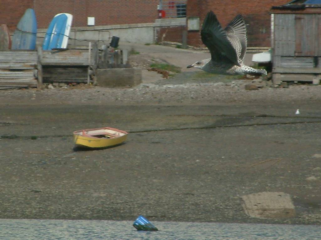 Click now to see this image full size.