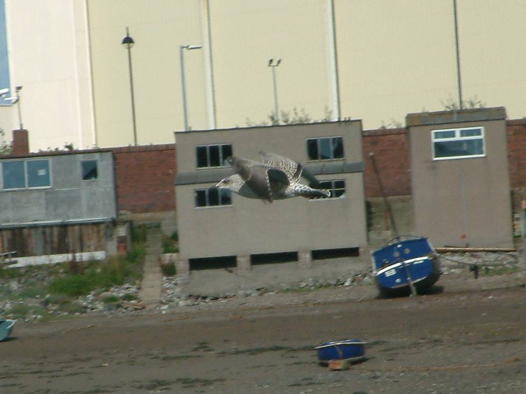 Click now to see this image full size.