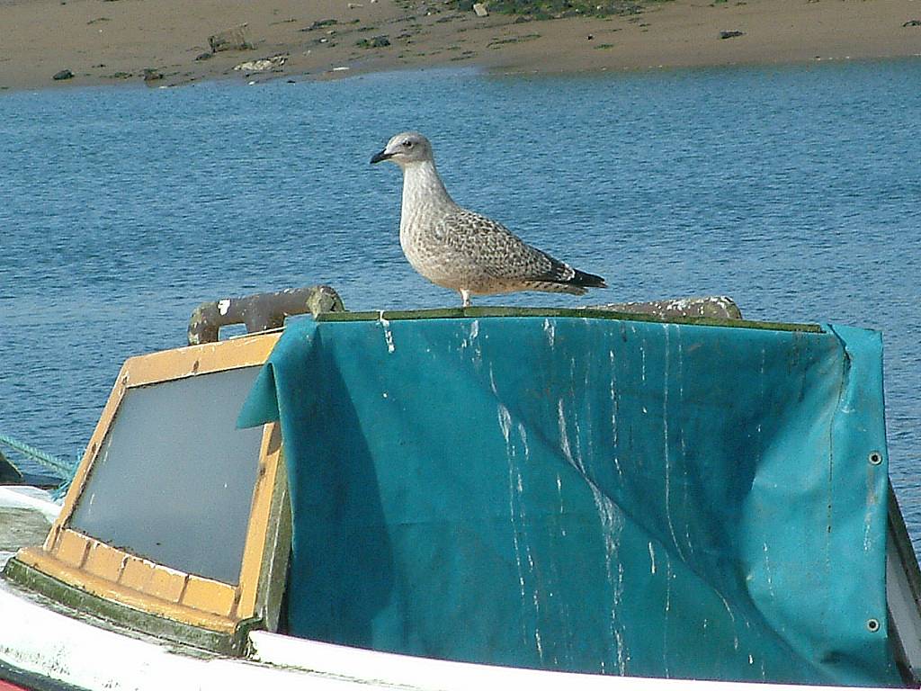 Click now to see this image full size.