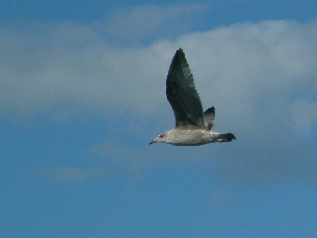 Click now to see this image full size.