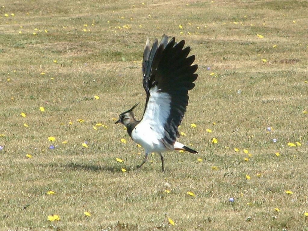 Click now to see this image full size.