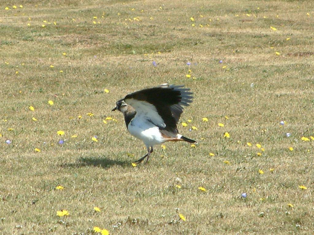 Click now to see this image full size.