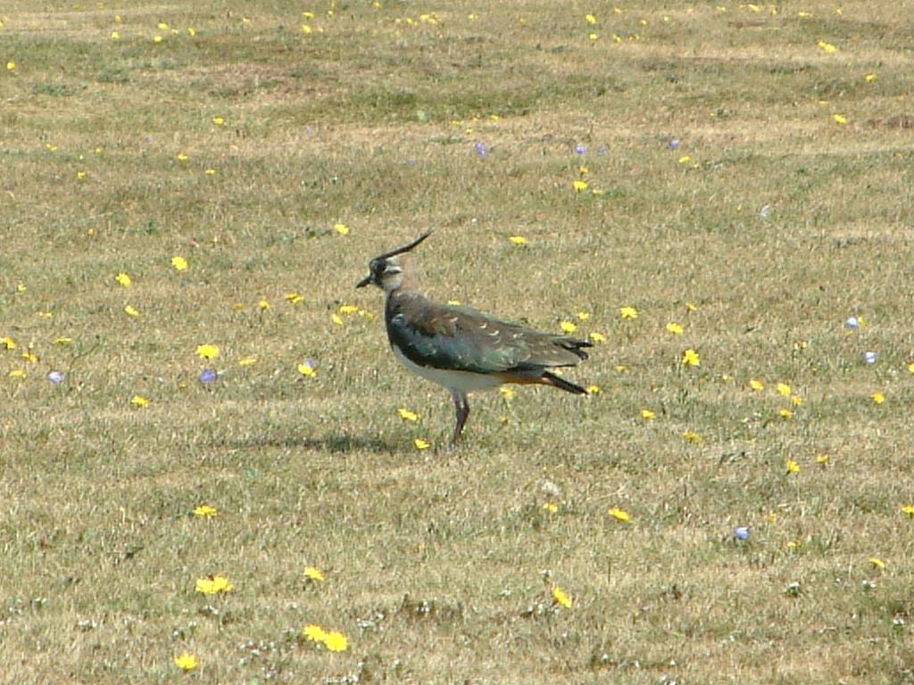 Click now to see this image full size.