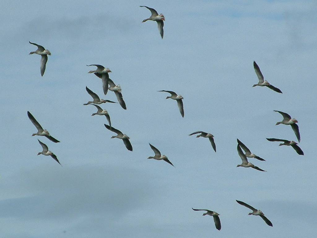 Click now to see this image full size.