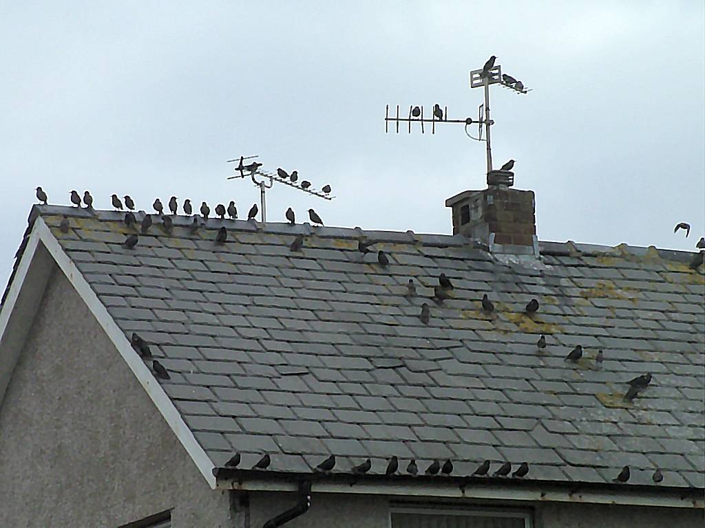 Click now to see this image full size.