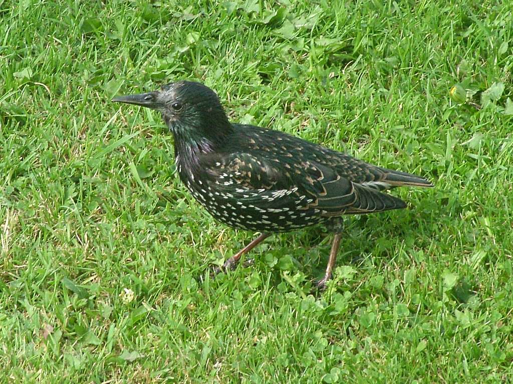 Click now to see this image full size.