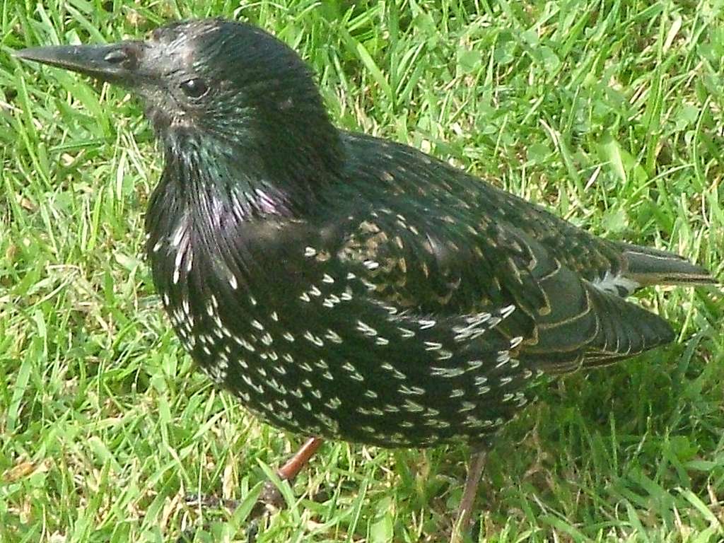 Click now to see this image full size.