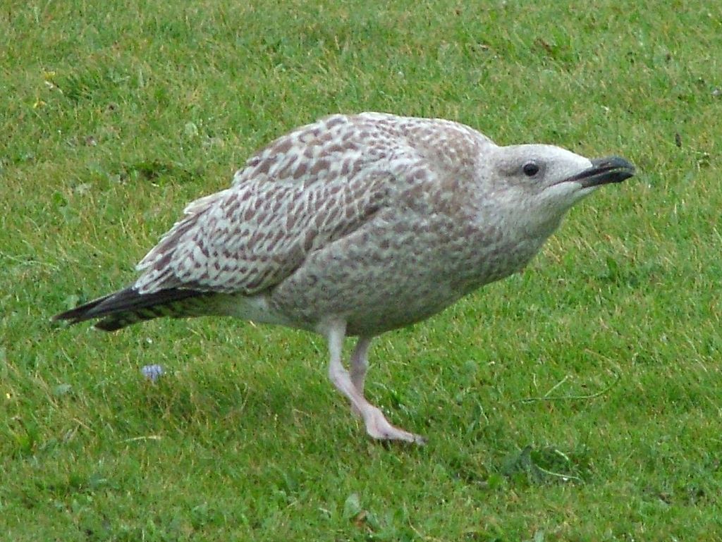 Click now to see this image full size.