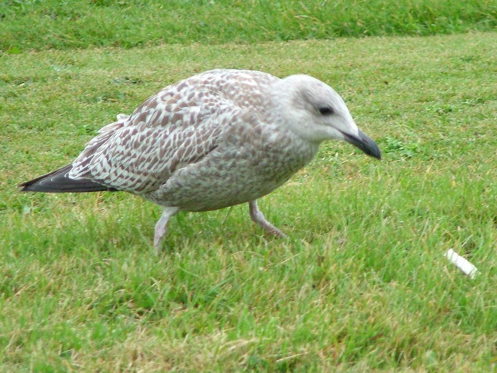 Click now to see this image full size.