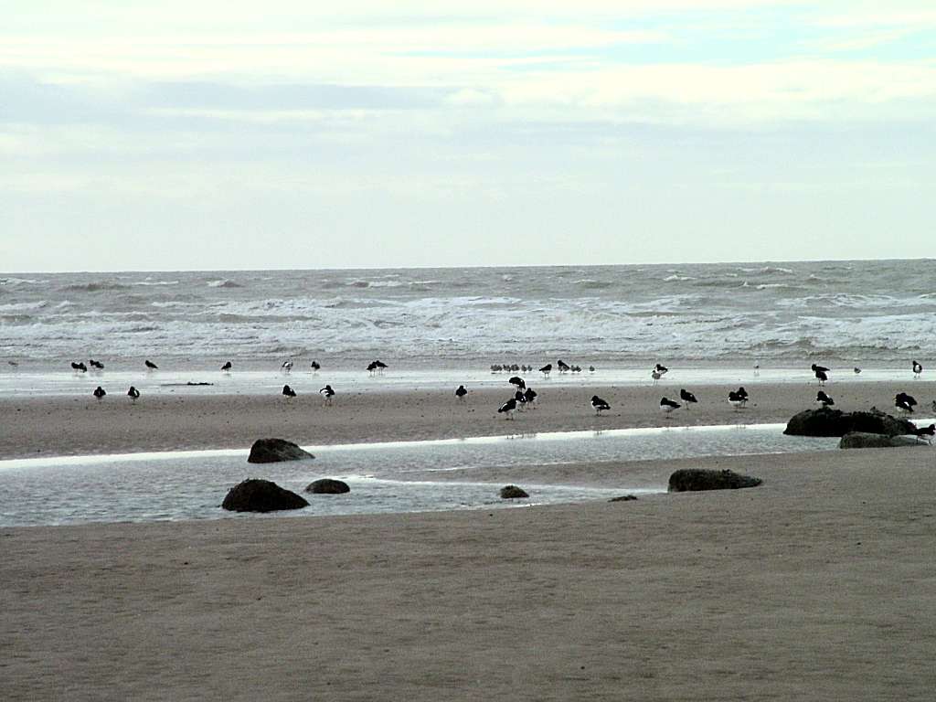 Click now to see this image full size.