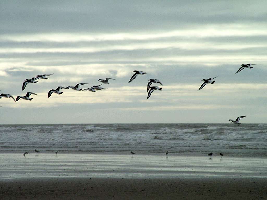 Click now to see this image full size.