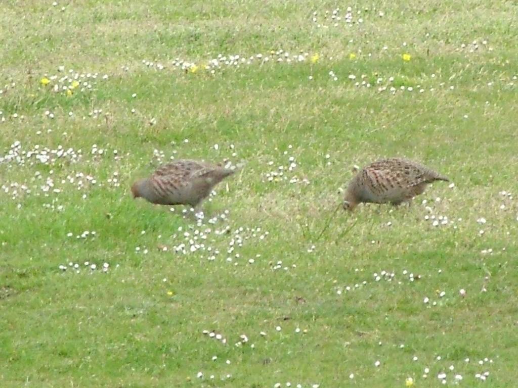 Click now to see this image full size.