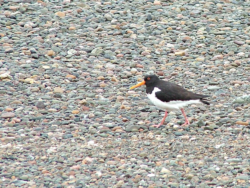 Click now to see this image full size.