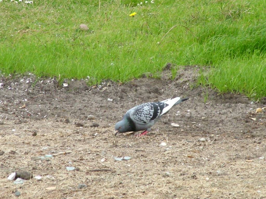 Click now to see this image full size.