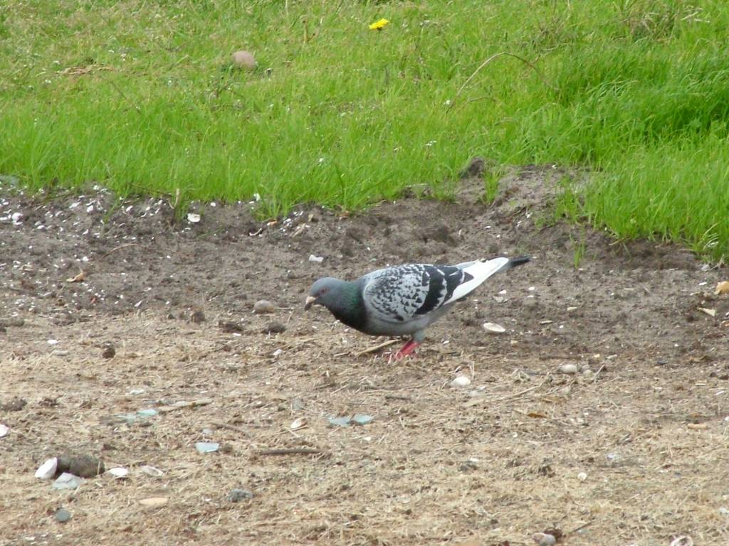 Click now to see this image full size.