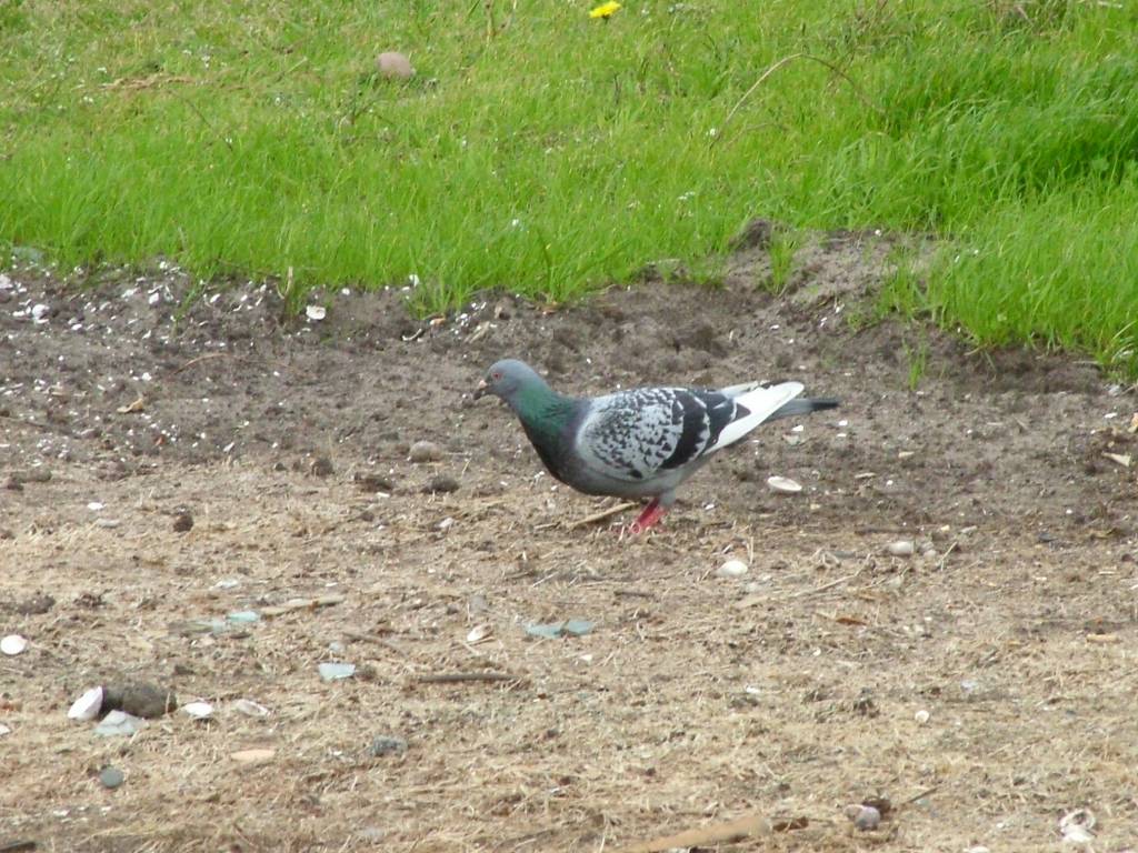 Click now to see this image full size.