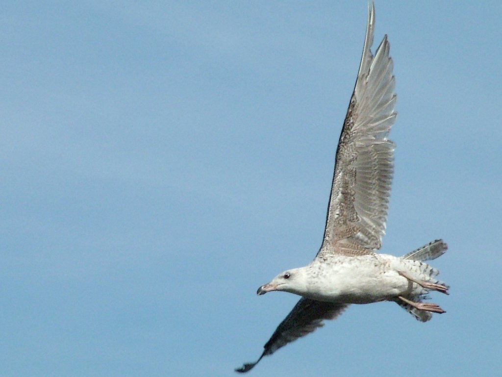 Click now to see this image full size.