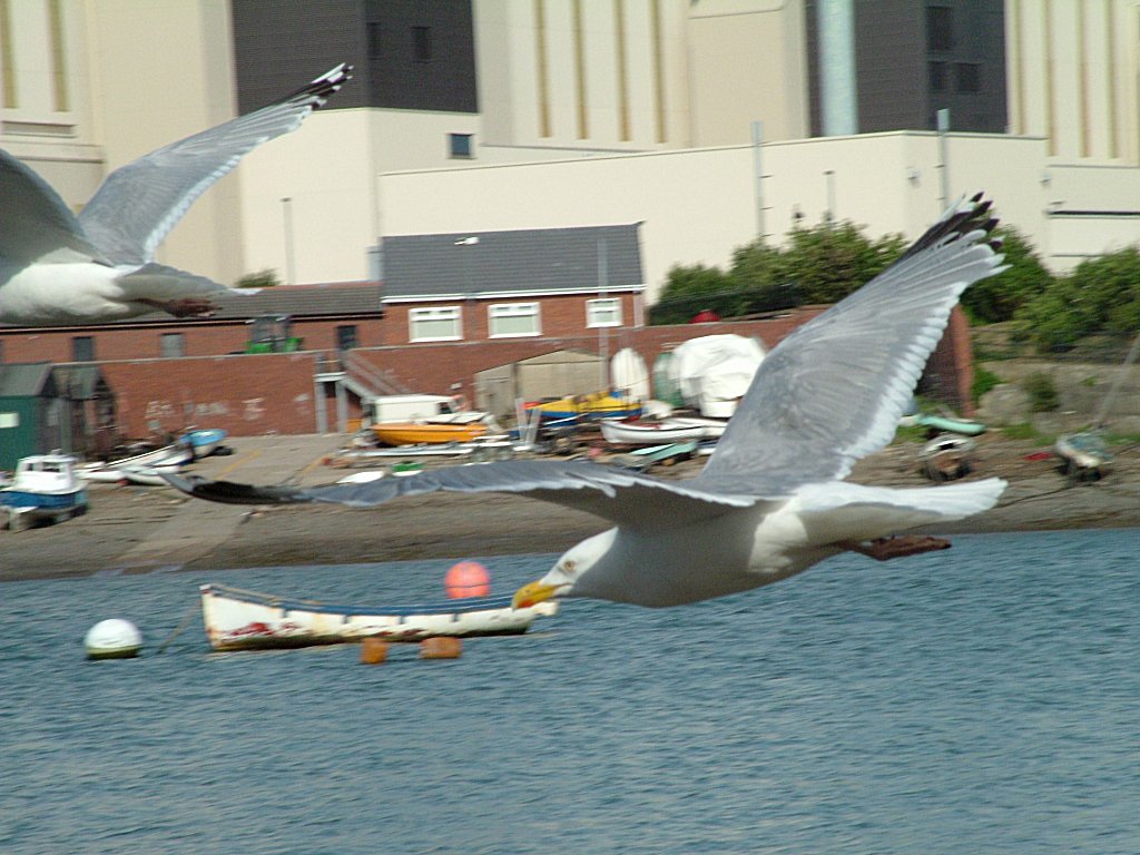 Click now to see this image full size.