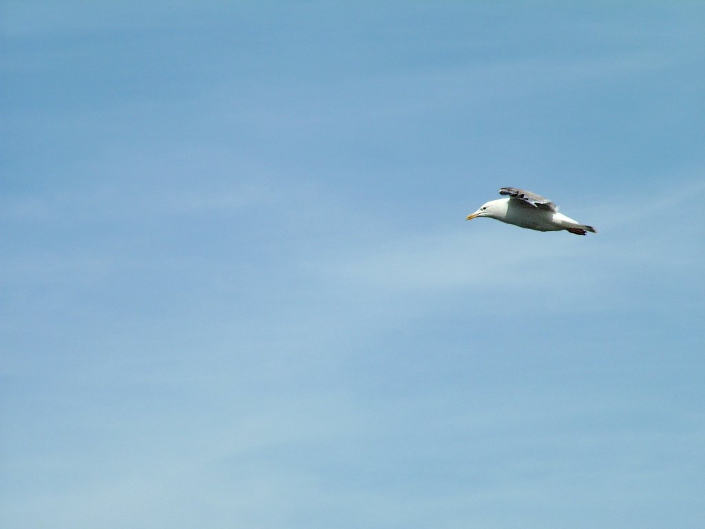 Click now to see this image full size.