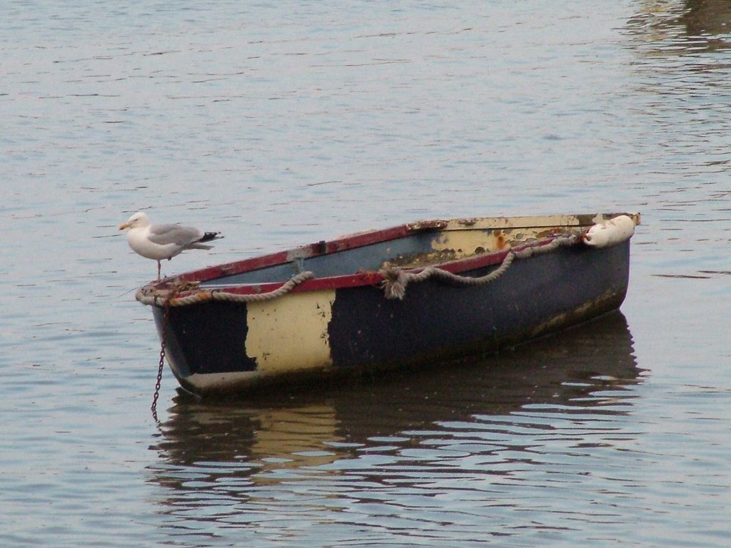 Click now to see this image full size.