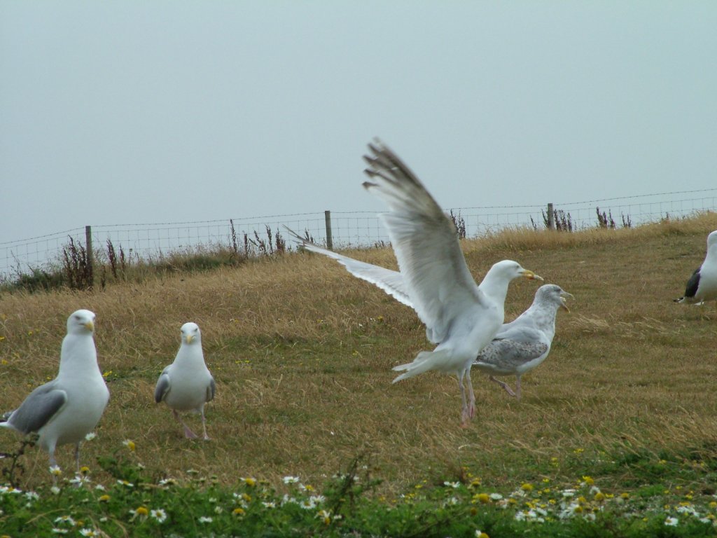 Click now to see this image full size.