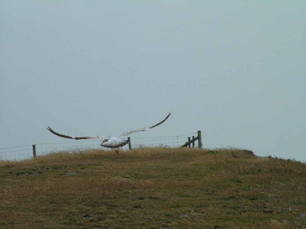 Click now to see this image full size.